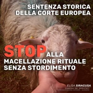 Stop alla macellazione rituale senza stordimento