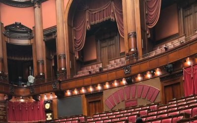 Milleproroghe 2021: il mio intervento in aula