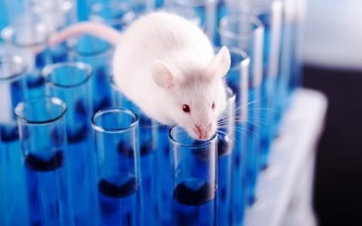 Giornata mondiale per gli animali ‘da laboratorio’