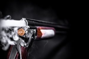 Vergogna M5S incentiva le attività venatorie copertina